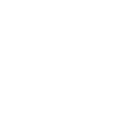 camera (3)