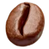 Roasted coffee bean
