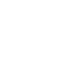 camera (1)