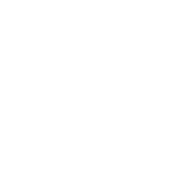 group (1)