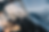 TLG Website Banner (26).png