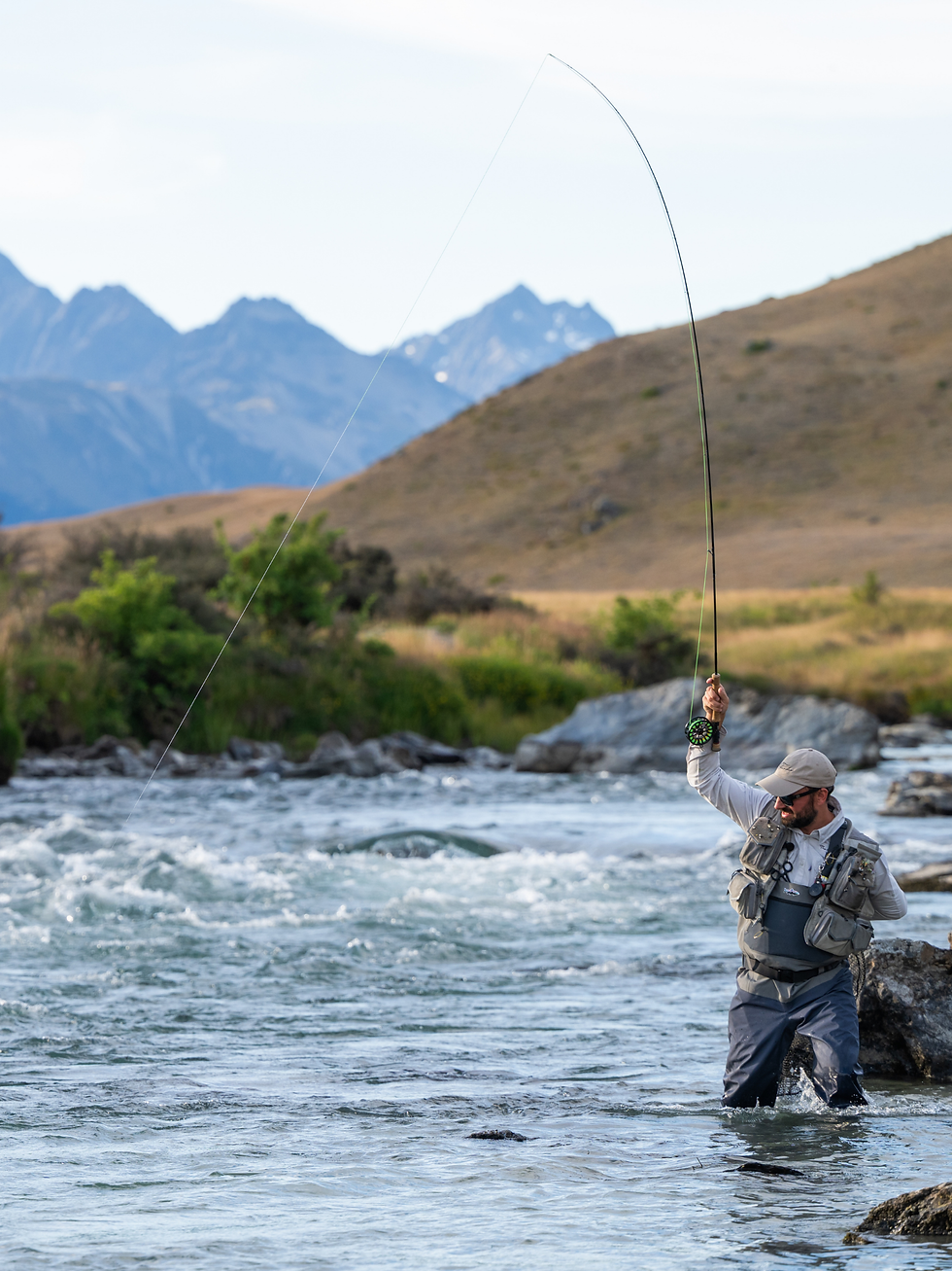 Untitled design (21).png