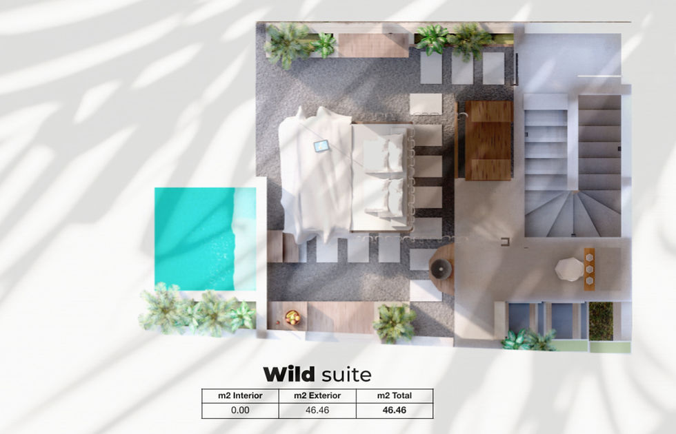 WILD SUITE CAN CAROL_edited.jpg