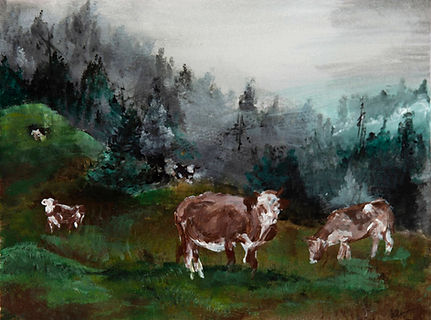 Poland Cows