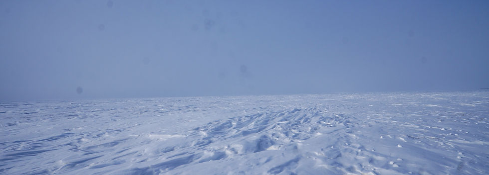 Wind Tortured White.JPG