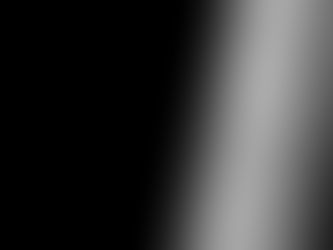 Texte animaliste engagé pour les animaux