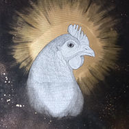 Suzana est le portrait d'une poule auréolée.