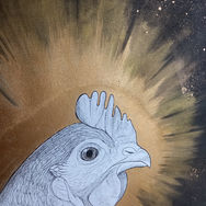 Suzana est le portrait d'une poule auréolée.