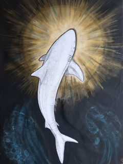 Luna, portrait de requine