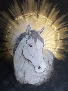 Colette, portrait d'une jument