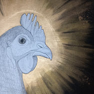 Suzana est le portrait d'une poule auréolée.