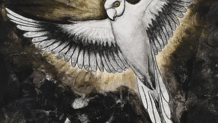 Portrait de Madame Victorine de la Perruche
Techniques mixtes sur toile
60 cm x 40 cm
2023, Paris