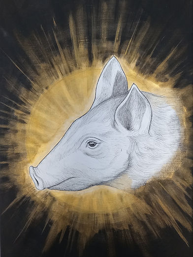 Portrait de Gwenaelle, truie auréolée