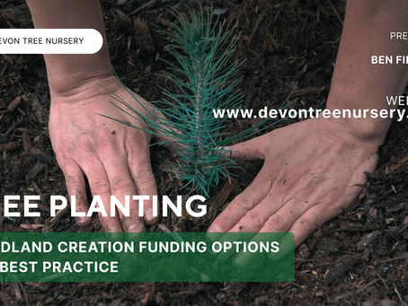 Tree Planting Best Practice and Funding Presentation for Devon Wildlife Trust at the Globe Inn Beaford 24/2/26