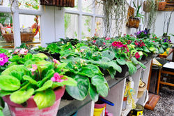 Espaço Brilho da Lua