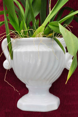 ESPAÇO BRILHO DA LUA