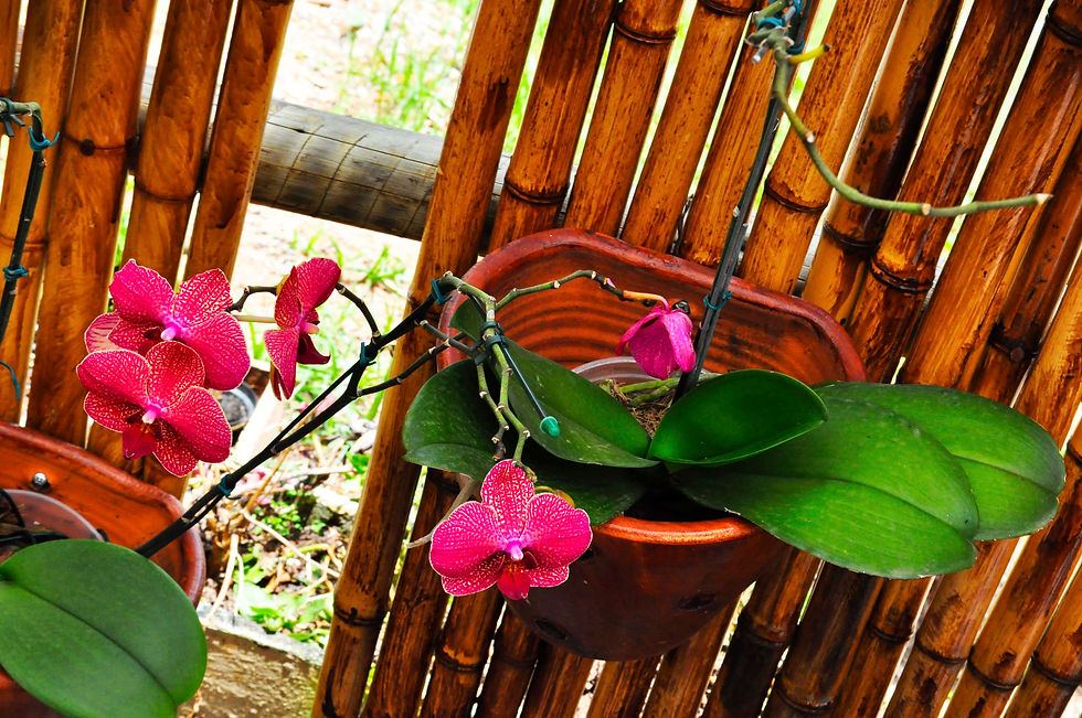 Espaço Brilho da Lua