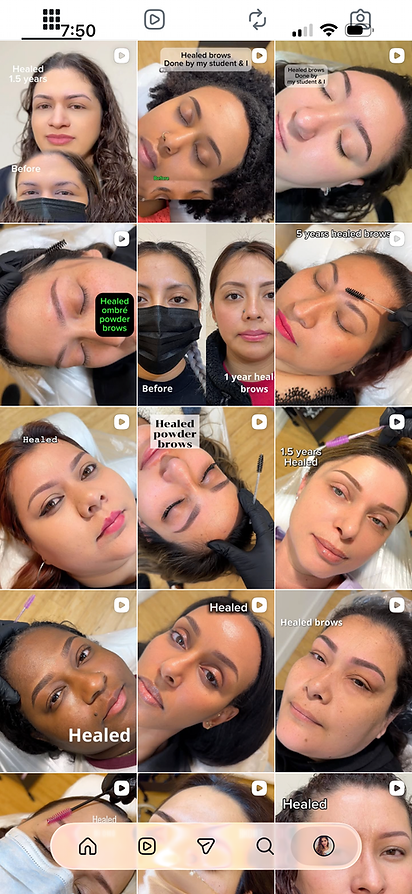 Healed pmu nano powder brows