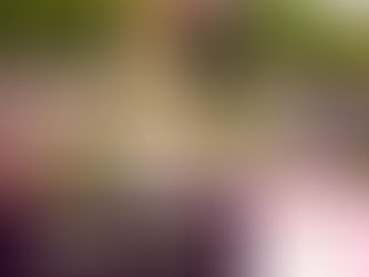 Cómo debo caminar en la vida.