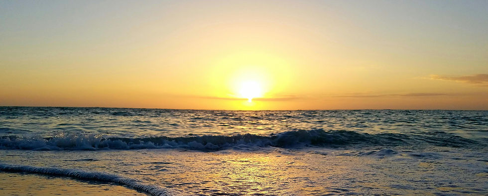 7393 SW 79th Court Miami FL 33143.png