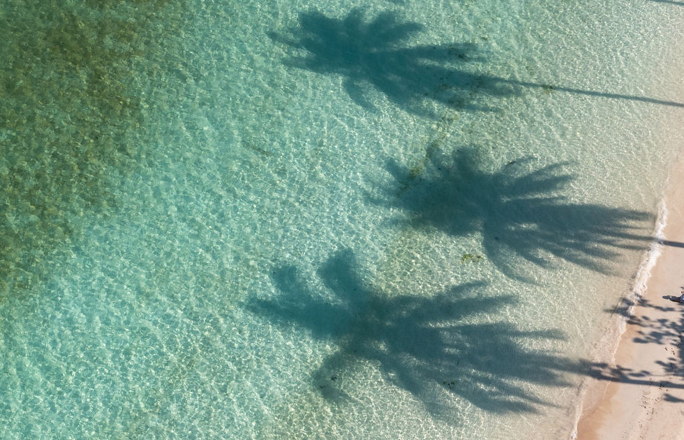 Court Miami FL 33143.png