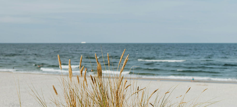 7393 SW 79th Court Miami FL 33143.png