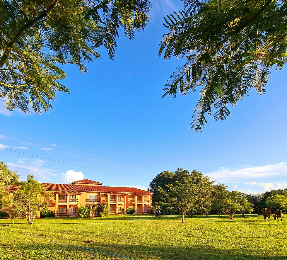 Vista panorâmica do Hotel Fazenda Villa Vitta cercado pela natureza em São Pedro SP