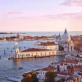 punta della dogana.jpg
