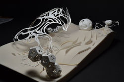 A Digital Coral Reef