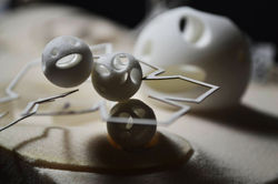 12973347_10154150895333267_4185177198241422431_o