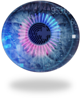 auge neu.png