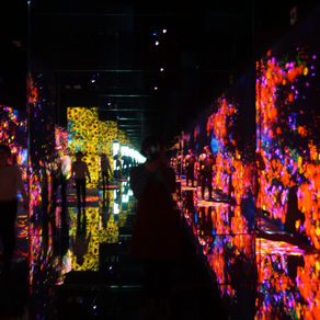 TeamLab, Odaiba
