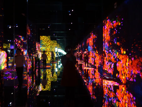 TeamLab, Odaiba