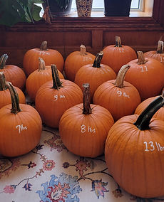 20240925_183326_edited.jpg