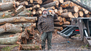 Did you know that a forest management plan only becomes reality through the skill of a professional logger?