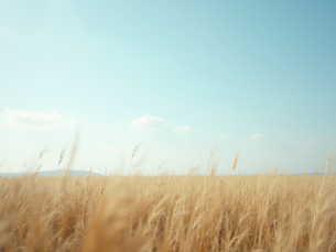 Posicionamento Eficaz: Chave para o Sucesso