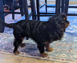 3766145085703009094 2(1).jpg