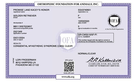 PROMISE LAND KACEY_S HONOR CONGENITAL MYASTHENIC SYNDROME 03_13_2024 CONGENITAL MYASTHENIC