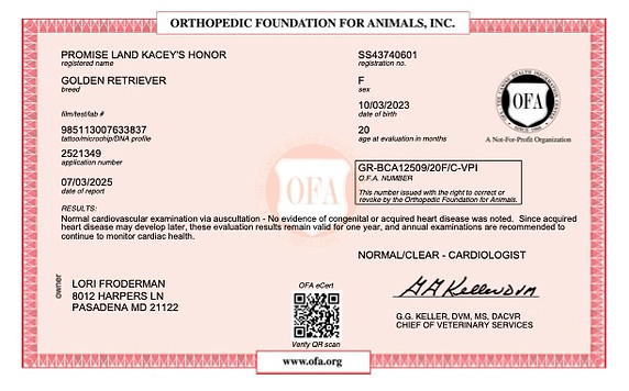 PROMISE LAND KACEY_S HONOR BASIC CARDIAC 06_25_2025 BASIC CARDIAC copy.jpg