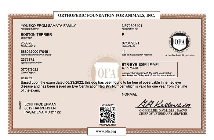 YONEKO FROM SAMATA FAMILY EYES 06_23_2022 EYES copy.jpg