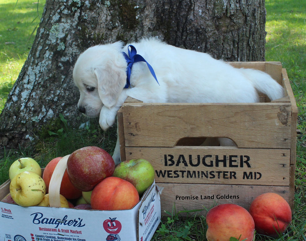 IMG_5219_Fotor_Fotor1