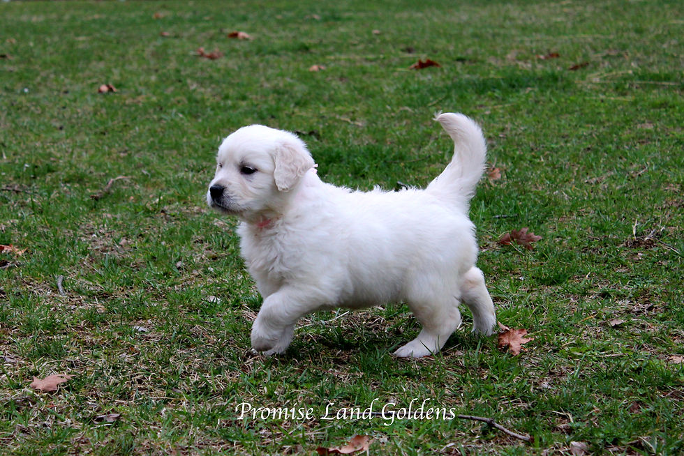 IMG_0071_Fotor 1.jpg