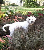IMG_1764.JPG