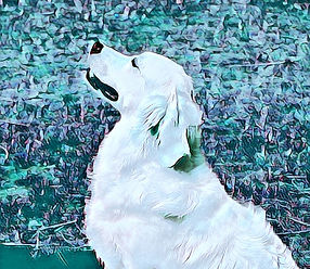 Untitled_Fotor.jpg