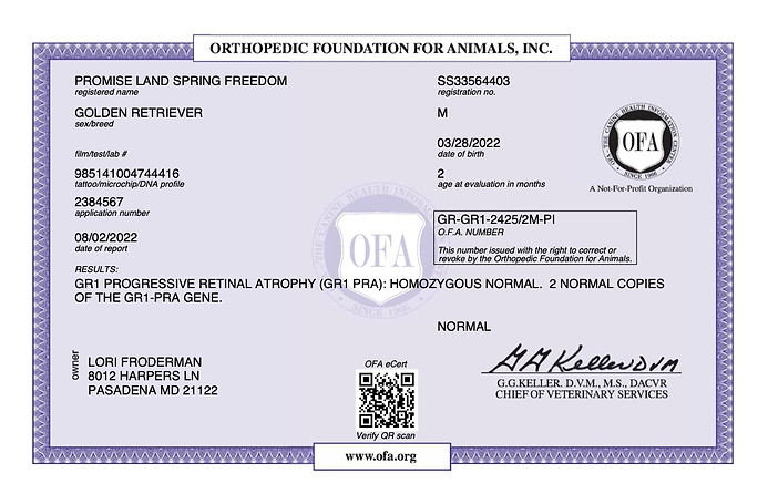 PROMISE LAND SPRING FREEDOM GR1 PROGRESSIVE RETINAL ATROPHY 06_18_2022 GR1 PROGRESSIVE RET