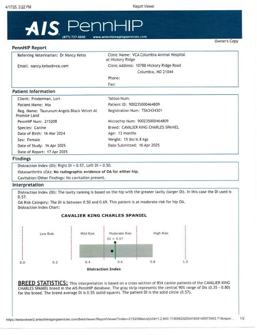 Froderman-Mia__2025-04-17_Penn hip result owner copy copy.jpg