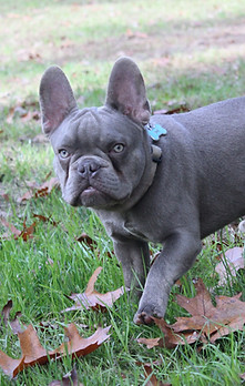 IMG_8975_Fotor.jpg