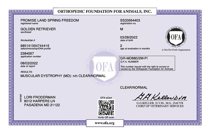 PROMISE LAND SPRING FREEDOM MUSCULAR DYSTROPHY 06_18_2022 MUSCULAR DYSTROPHY copy.jpg