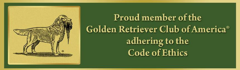 Health Checked Promise Land Goldens United States