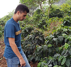 Diego Baraona de Finca Los Pirineos, líder en innovación y tradición cafetalera de alta gama